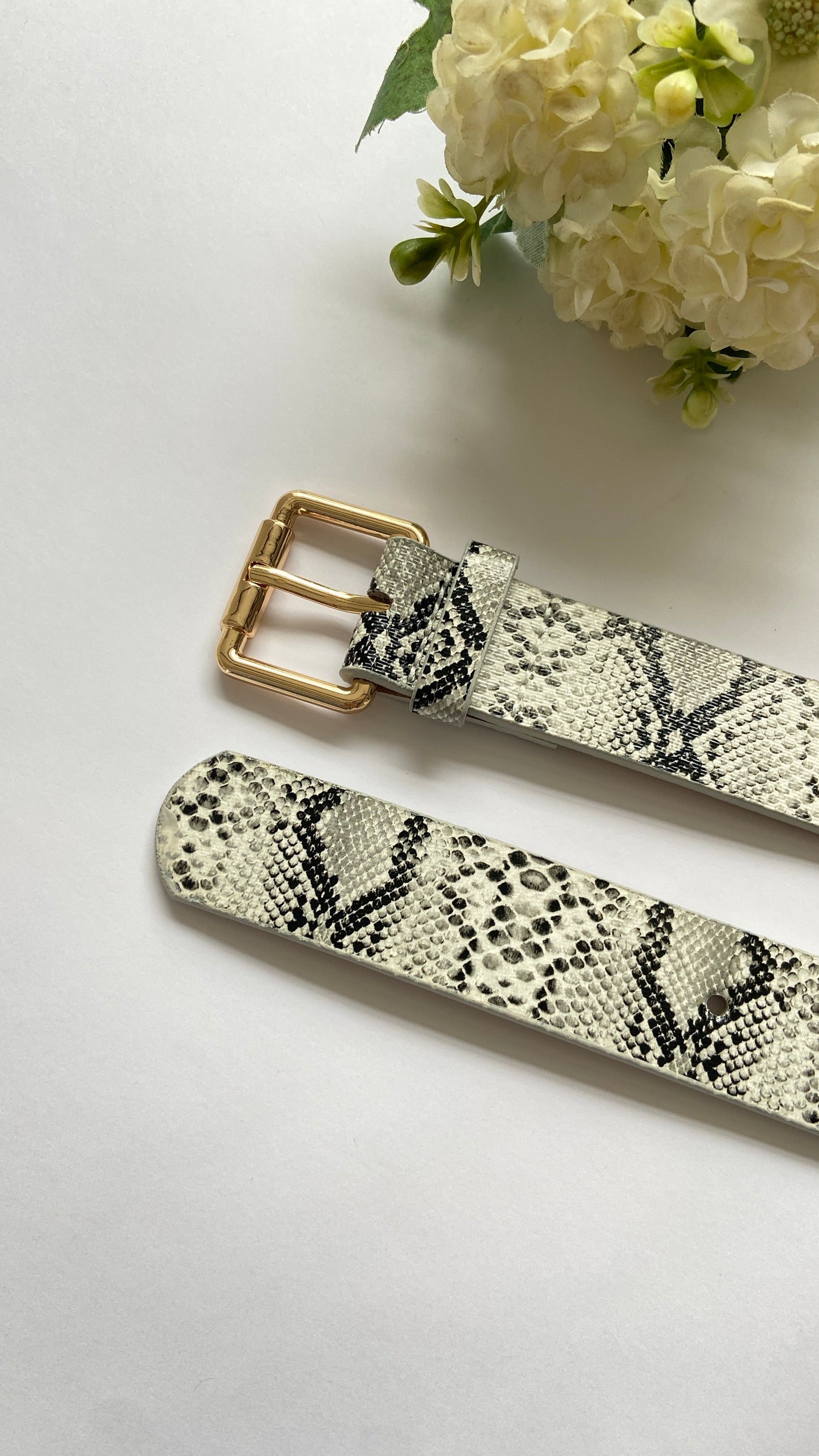 Correa Animal print