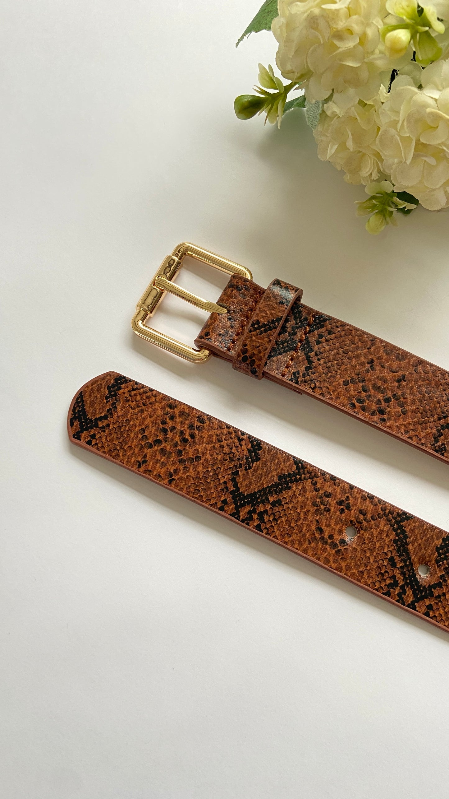 Correa Animal print