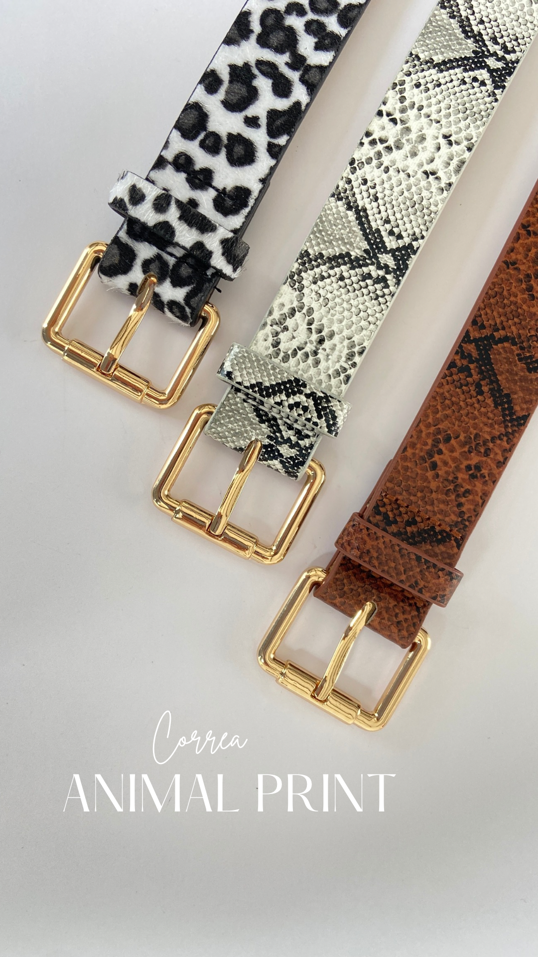 Correa Animal print